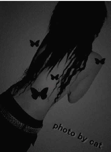 .丰舞堂℡殺掱